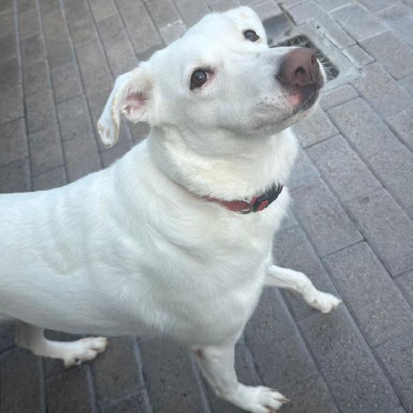 GENNA DESIDERA UNA FAMIGLIA  Foto 5